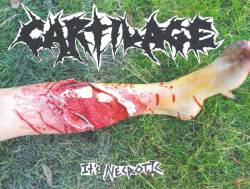 Cartilage (USA) : It's Necrotic